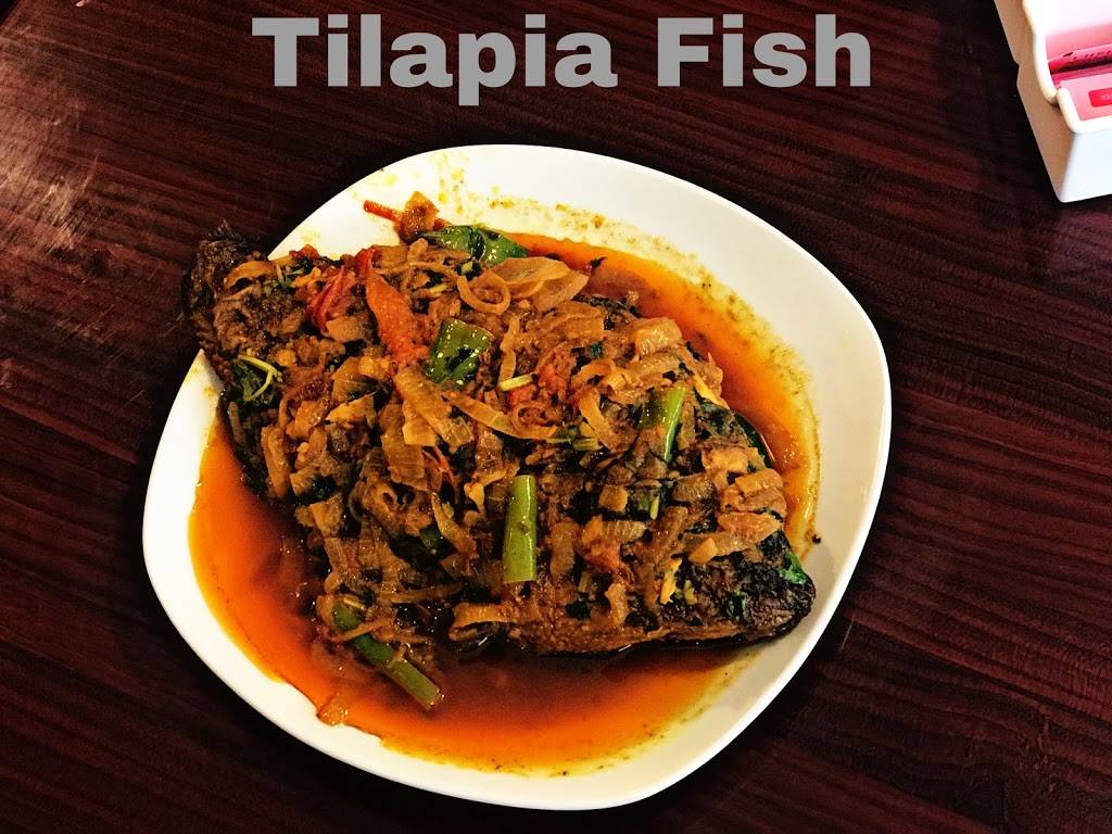 Madina Sweets And Restaurant | restaurant | 295 Central Ave, Albany, NY 12206, USA | 5184499000 OR +1 518-449-9000