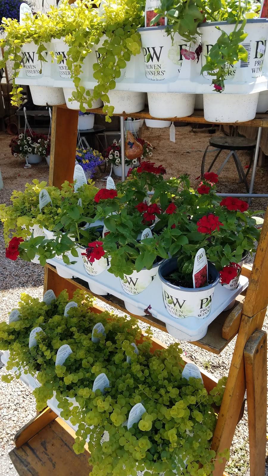 Herbs Country Deli Restaurant | restaurant | 1115 Norwich-New London Turnpike, Uncasville, CT 06382, USA | 8608489888 OR +1 860-848-9888