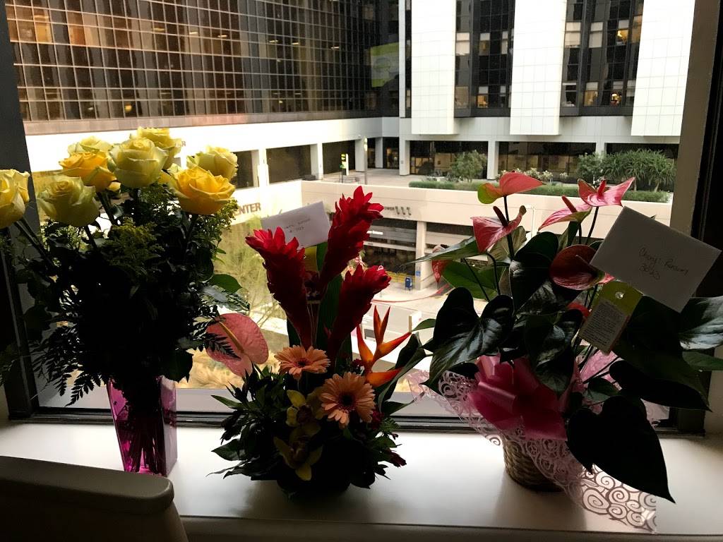 Chick Me Out | restaurant | 6201 Van Nuys Blvd, Van Nuys, CA 91401, USA | 8183876155 OR +1 818-387-6155