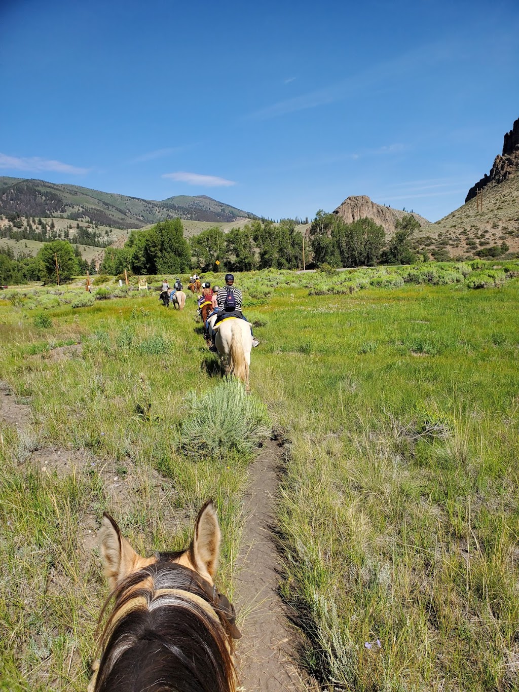 Cottonwood Cove Guest Ranch | restaurant | 13046 CO-149, Creede, CO 81130, USA | 7196582242 OR +1 719-658-2242