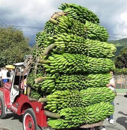 Dunkin | bakery | 147 Pelham St, Methuen, MA 01844, USA | 9786881199 OR +1 978-688-1199