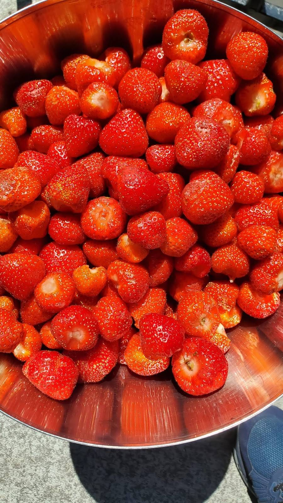 Chopping It Up | restaurant | Sheridan Rd, Highwood, IL 60040, USA | 8479620721 OR +1 847-962-0721