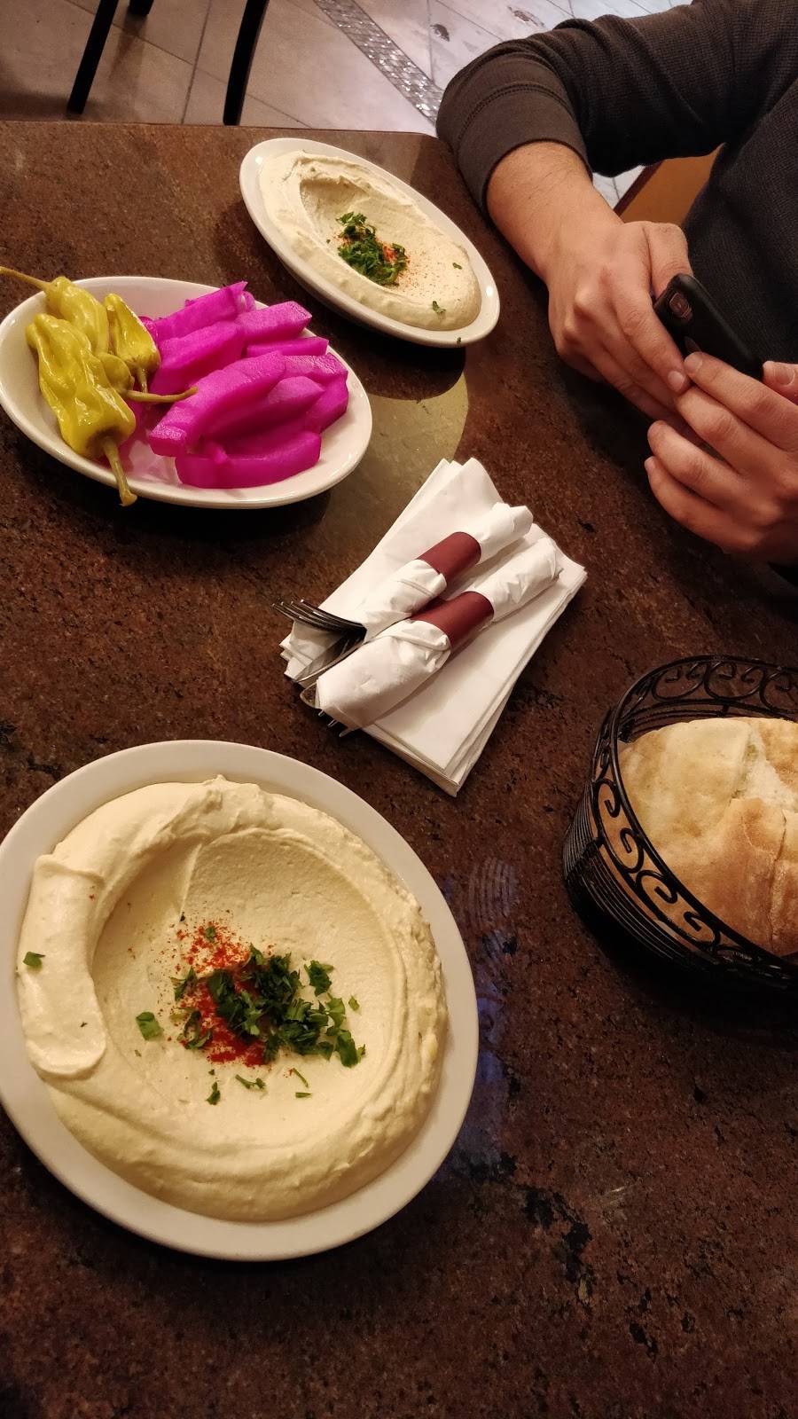 AL-SAHA Restaurant | restaurant | 14246 Warren Ave, Dearborn, MI 48126, USA | 3139087807 OR +1 313-908-7807