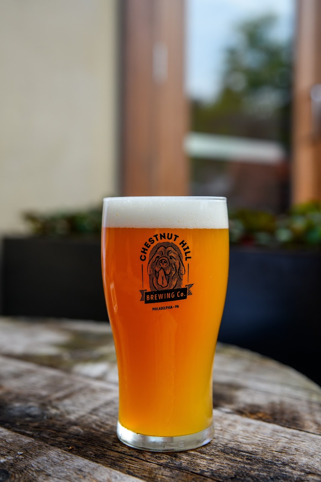 Chestnut Hill Brewing Company Taproom | restaurant | 8231 Germantown Ave, Philadelphia, PA 19118, USA | 2152470330 OR +1 215-247-0330