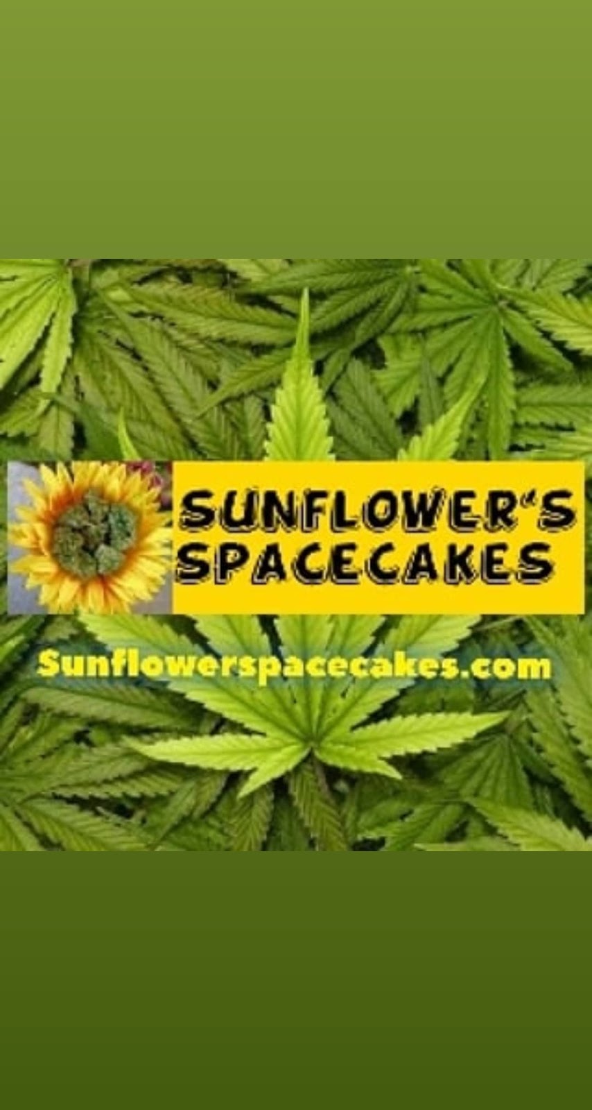 The Lair 420 Social Club | restaurant | 323 N 52nd St 2nd floor, Philadelphia, PA 19139, USA | 2672532929 OR +1 267-253-2929