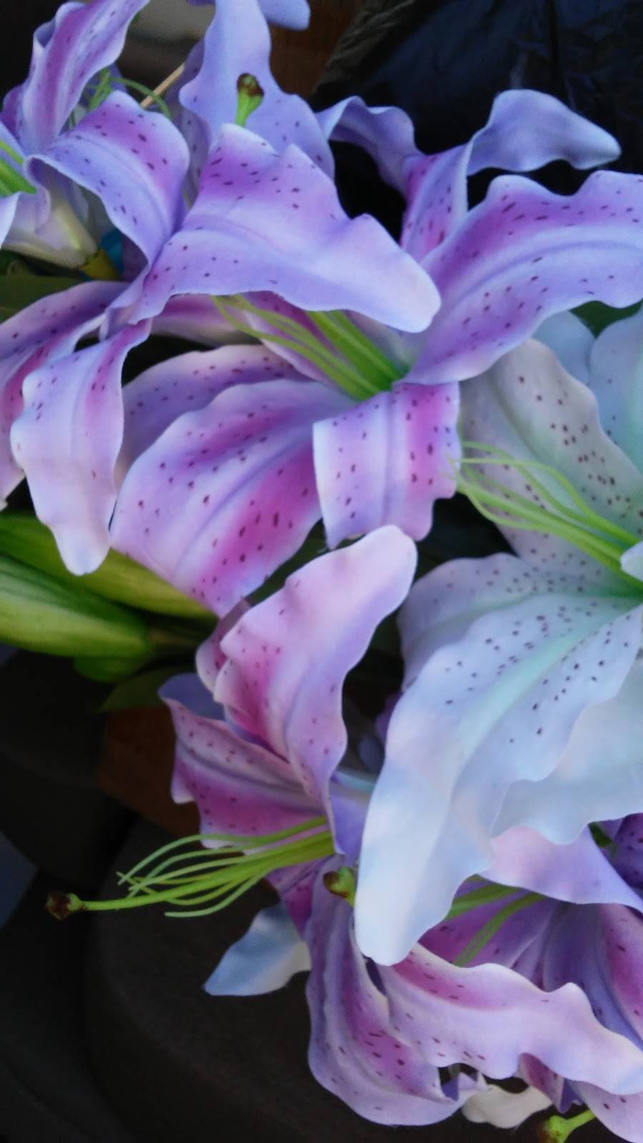 Munchies Cafe | restaurant | 16504 NW 49th Ave, Hialeah, FL 33014, USA | 3056217117 OR +1 305-621-7117