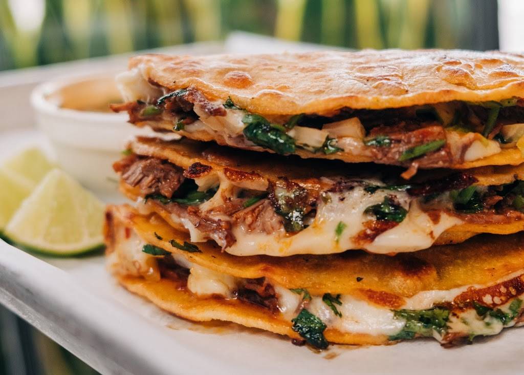 Muchachas | restaurant | 1910 N Ola Ave #14, Tampa, FL 33602, USA | 8134606213 OR +1 813-460-6213