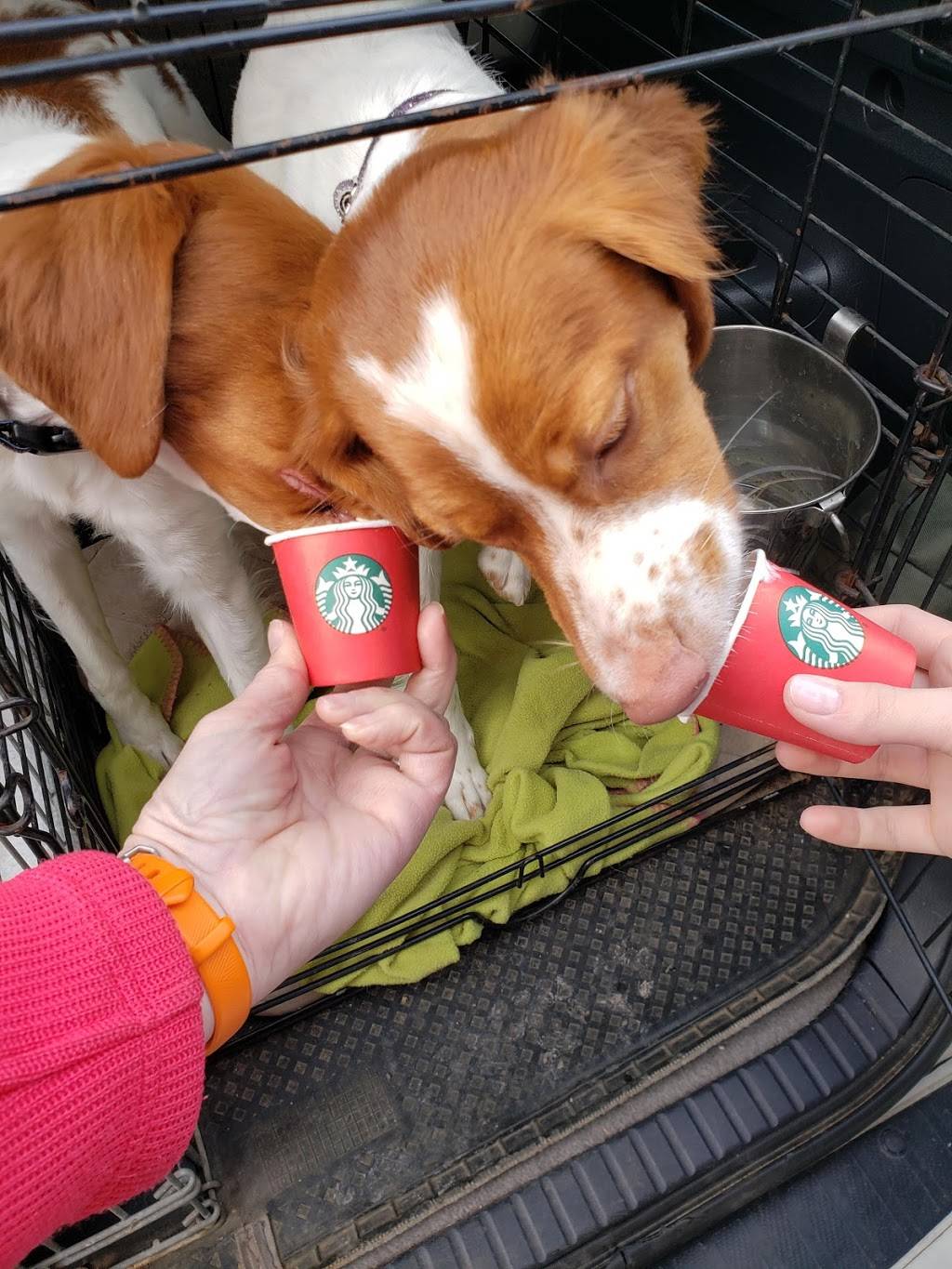 Starbucks | cafe | 4196-A, IL-83, Long Grove, IL 60047, USA | 2242816071 OR +1 224-281-6071