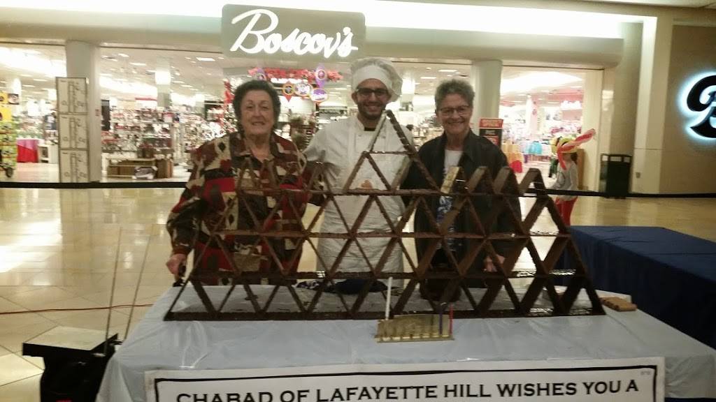 Daniel Israel Kosher Catering | restaurant | 7588 Haverford Ave, Philadelphia, PA 19151, USA | 2674750078 OR +1 267-475-0078