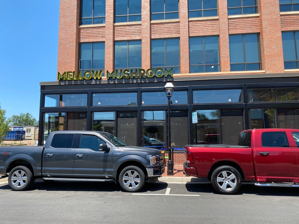 Mellow Mushroom Fredericksburg | restaurant | 609 William St, Fredericksburg, VA 22401, USA | 5409973033 OR +1 540-997-3033
