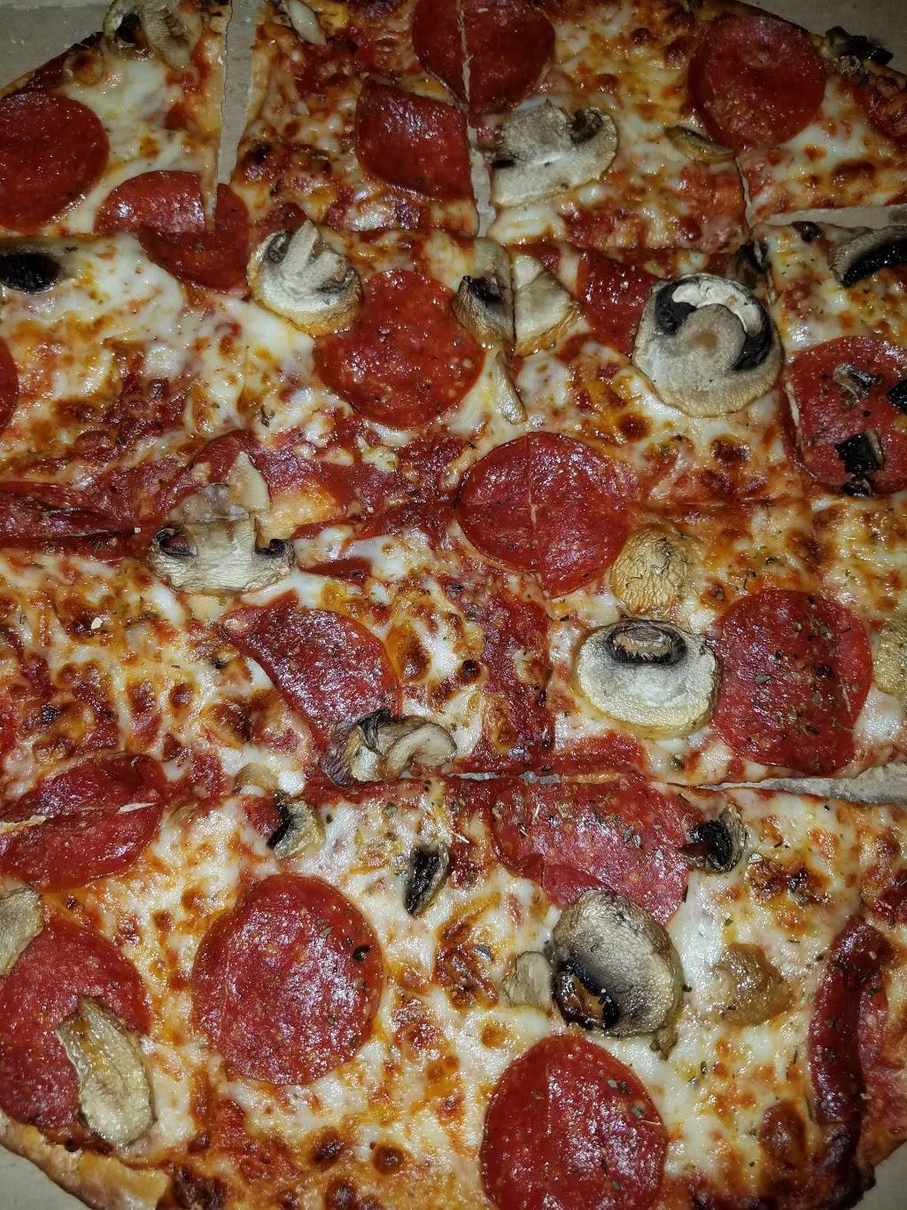 Dominos Pizza | meal delivery | 1305 Pennsylvania Ave, Wellston, OH 45692, USA | 7403844233 OR +1 740-384-4233