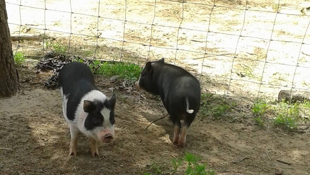 Berry Good Farms | restaurant | 930 William Gibbs Rd, Tifton, GA 31793, USA | 2298210746 OR +1 229-821-0746