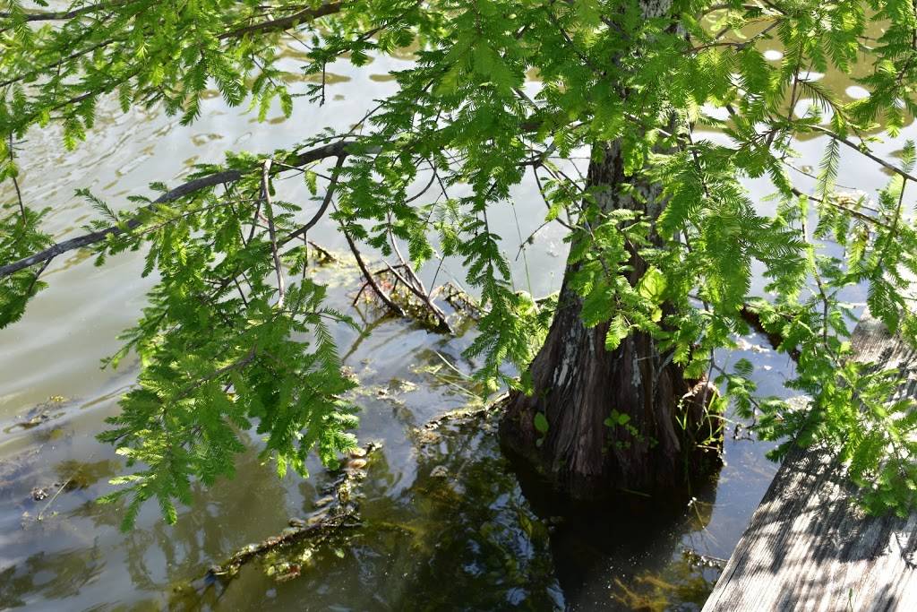 The Cypress Taphouse | restaurant | 6616 Rose Farm Rd, Ocean Springs, MS 39564, USA | 2286414616 OR +1 228-641-4616