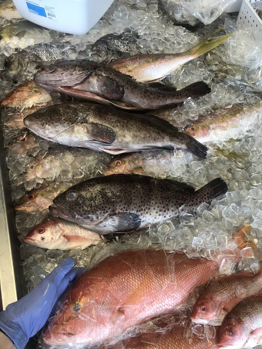 Westside Seafood | meal takeaway | 7945 103rd St, Jacksonville, FL 32210, USA | 9048542722 OR +1 904-854-2722