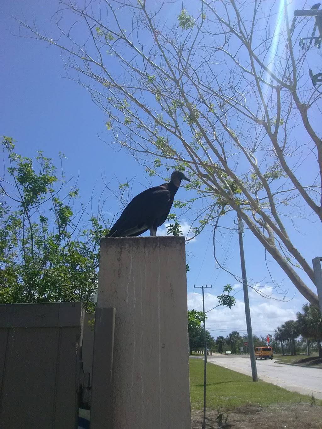 Burger King | restaurant | 11 S Washington Ave, Titusville, FL 32796, USA | 3212682445 OR +1 321-268-2445