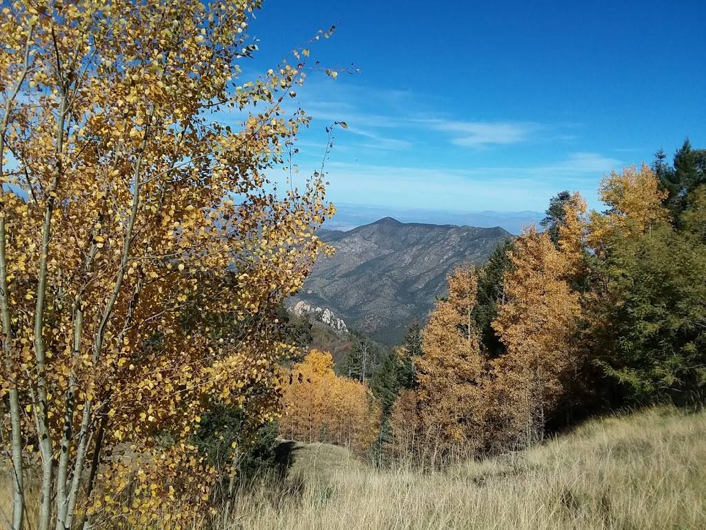 Iron Door | restaurant | 10300 E Ski Run Rd, Mt Lemmon, AZ 85619, USA | 5205761321 OR +1 520-576-1321