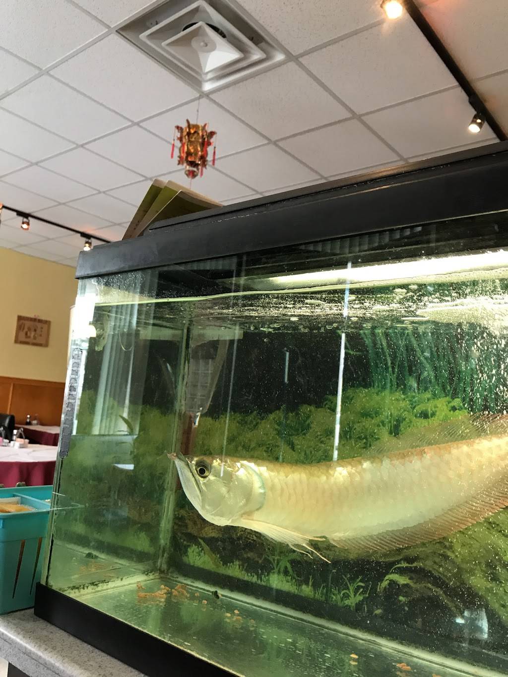 Szechuan Village | restaurant | 244 Mountain Ave, Springfield Township, NJ 07081, USA | 9733767673 OR +1 973-376-7673