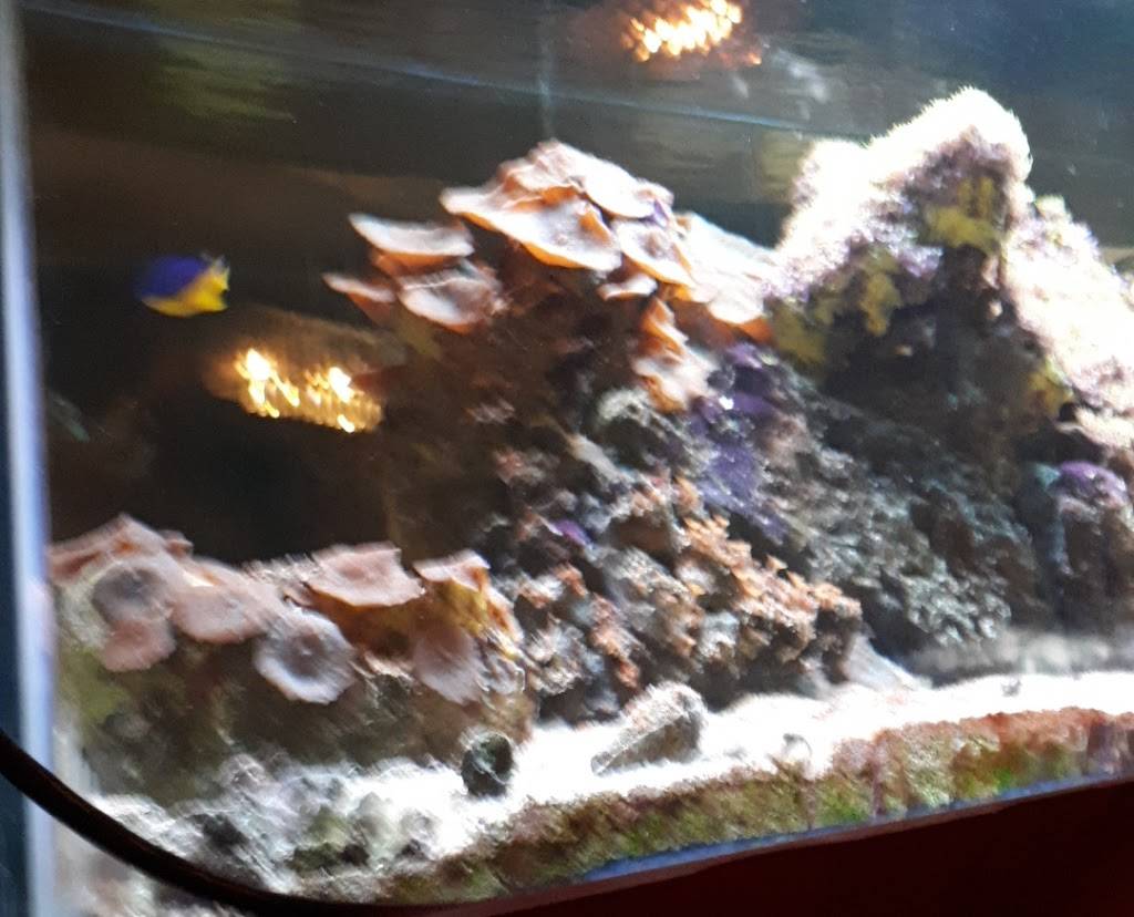 Délice Chhouk Tep | restaurant | 420 Rue Saint-Jean, Drummondville, QC J2B 1R8, Canada | 8198508339 OR +1 819-850-8339