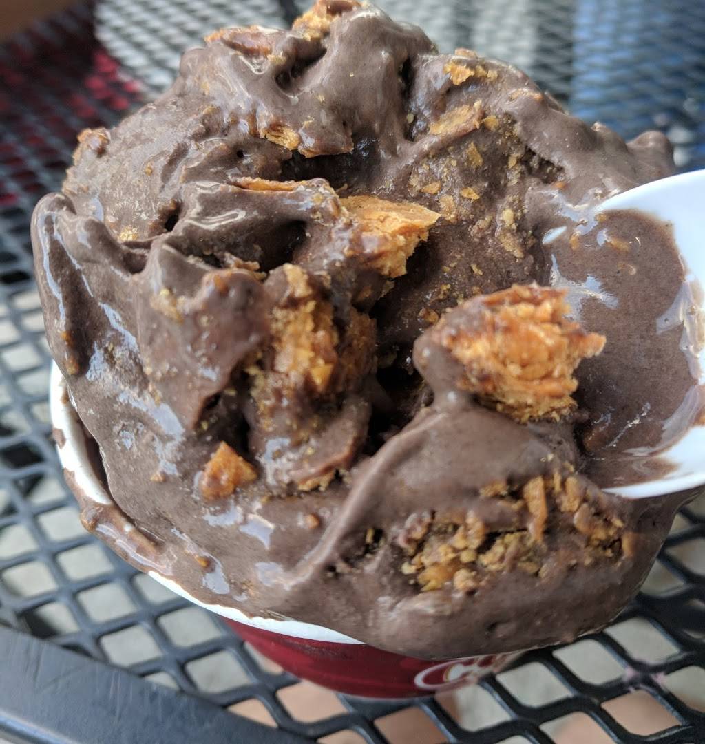 Cold Stone Creamery | bakery | 17519 Preserve Walk Ln, Tampa, FL 33647, USA | 8139770024 OR +1 813-977-0024