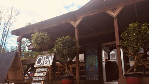 The Bean Trees | restaurant | 3601 Hartford Rd, Hartford, TN 37753, USA | 4234872187 OR +1 423-487-2187