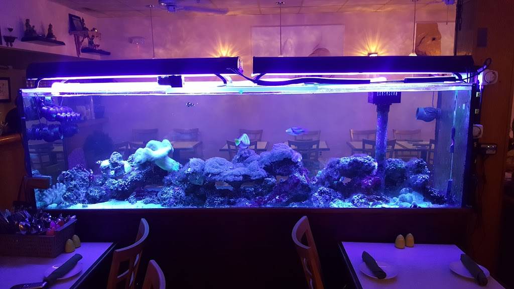 Bamboo Thai Restaurant | meal delivery | 1616 Commonwealth Avenue, Brighton, MA 02135, USA | 6172649999 OR +1 617-264-9999