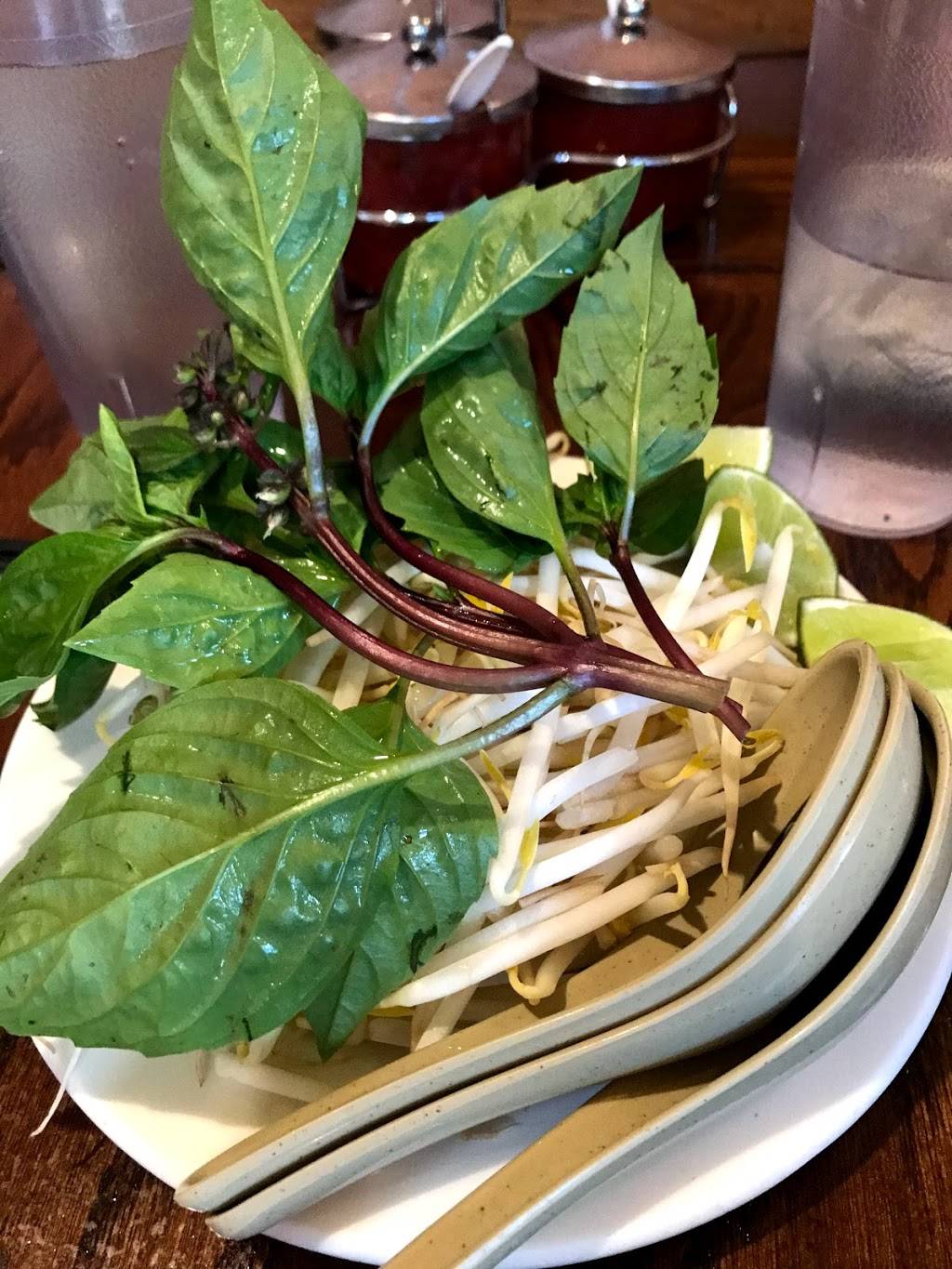 Le’s | restaurant | 35 Dunster St, Cambridge, MA 02138, USA | 6178644100 OR +1 617-864-4100