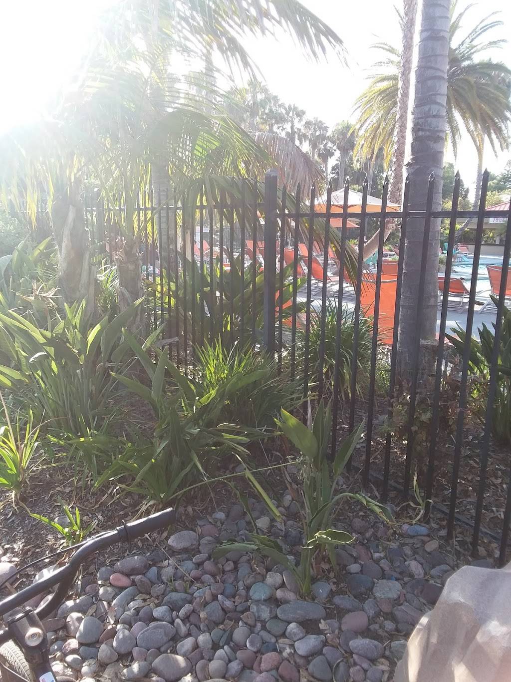 Paradise Point | restaurant | 1404 Vacation Rd, San Diego, CA 92109, USA | 8582744630 OR +1 858-274-4630