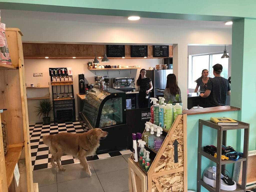 CHEZ LUC- Café et Boutique pour animaux | restaurant | 1050 Boulevard Laurier E, Saint-Hyacinthe, QC J2T 1K1, Canada | 4502523647 OR +1 450-252-3647