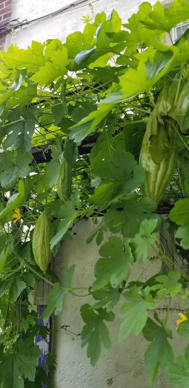 Salt & Pepper Deli III | restaurant | 1102 S 47th St, Philadelphia, PA 19143, USA | 2157274210 OR +1 215-727-4210