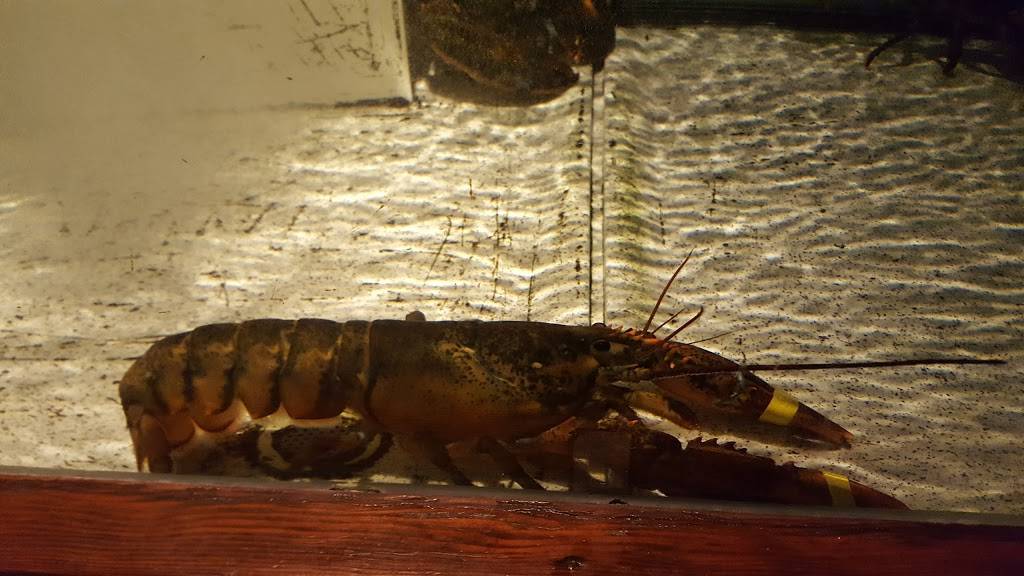 Red Lobster | restaurant | 8200 N Springboro Pike, Miamisburg, OH 45342, USA | 9374330940 OR +1 937-433-0940