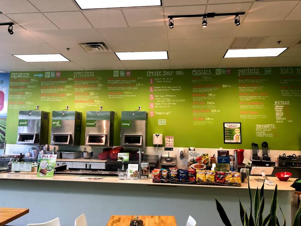 Salad Creations | restaurant | 4437 Lyons Rd, Coconut Creek, FL 33073, USA | 7548007176 OR +1 754-800-7176