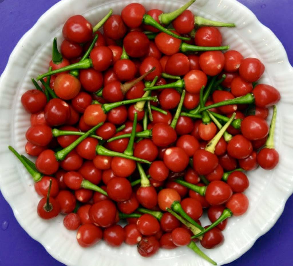 Sisters | restaurant | 47 E 124th St, New York, NY 10035, USA | 2124103000 OR +1 212-410-3000