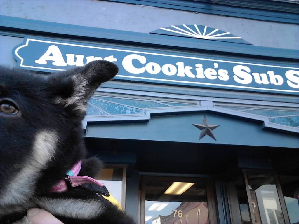 Aunt Cookies Sub Shop | restaurant | 76 Main St, Geneseo, NY 14454, USA | 5852432650 OR +1 585-243-2650