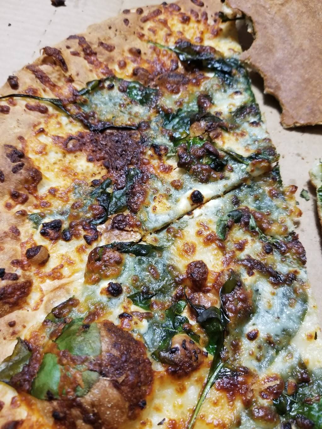 Dominos Pizza | meal delivery | 2316 E Fletcher Ave, Tampa, FL 33612, USA | 8139717875 OR +1 813-971-7875