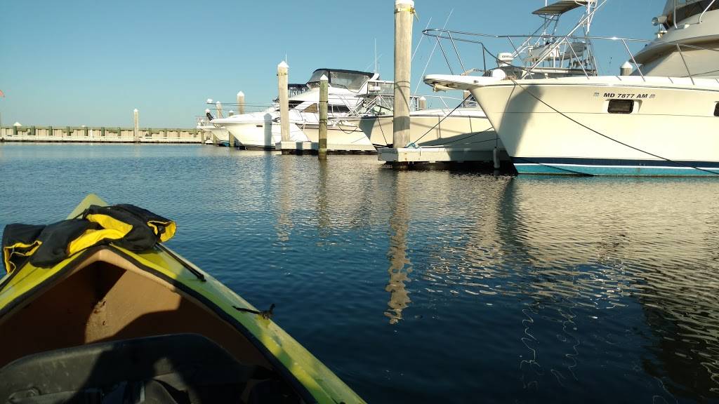 Pines Point Provisions & SFD | restaurant | 869 Yacht Club Dr, Berlin, MD 21811, USA | 4106412248 OR +1 410-641-2248