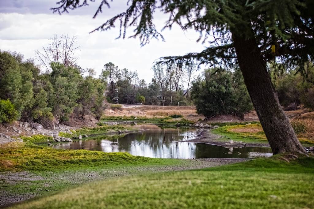 Blue Heron | restaurant | 30250 Yosemite Springs Pkwy, Coarsegold, CA 93614, USA | 5596586969 OR +1 559-658-6969