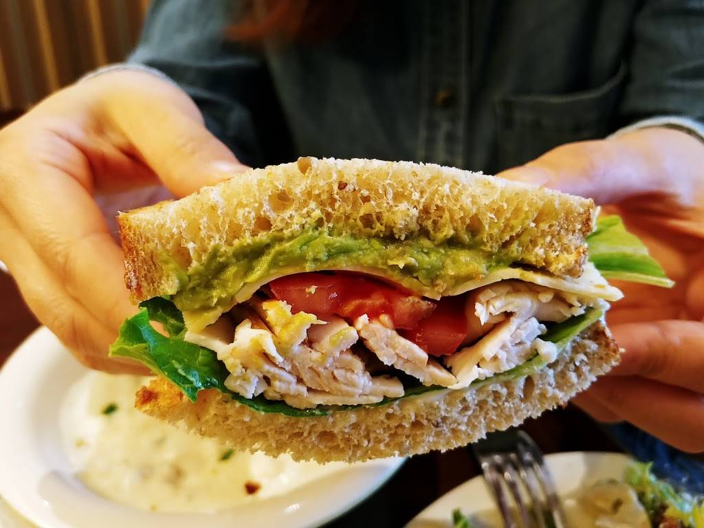 Boudin SF | bakery | 3333 Bristol St, Plaza Space 1000, Costa Mesa, CA 92626, USA | 7146892253 OR +1 714-689-2253