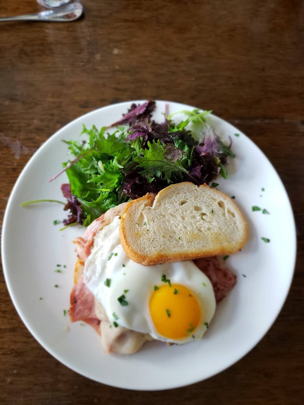 Bar Marco | restaurant | 2216 Penn Ave, Pittsburgh, PA 15222, USA | 4124711900 OR +1 412-471-1900