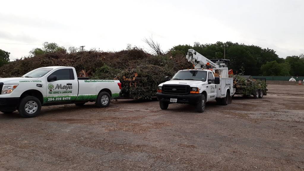 Mandarin Express | restaurant | Richland Mall, 6001 W Waco Dr, Waco, TX 76710, USA | 2547231564 OR +1 254-723-1564