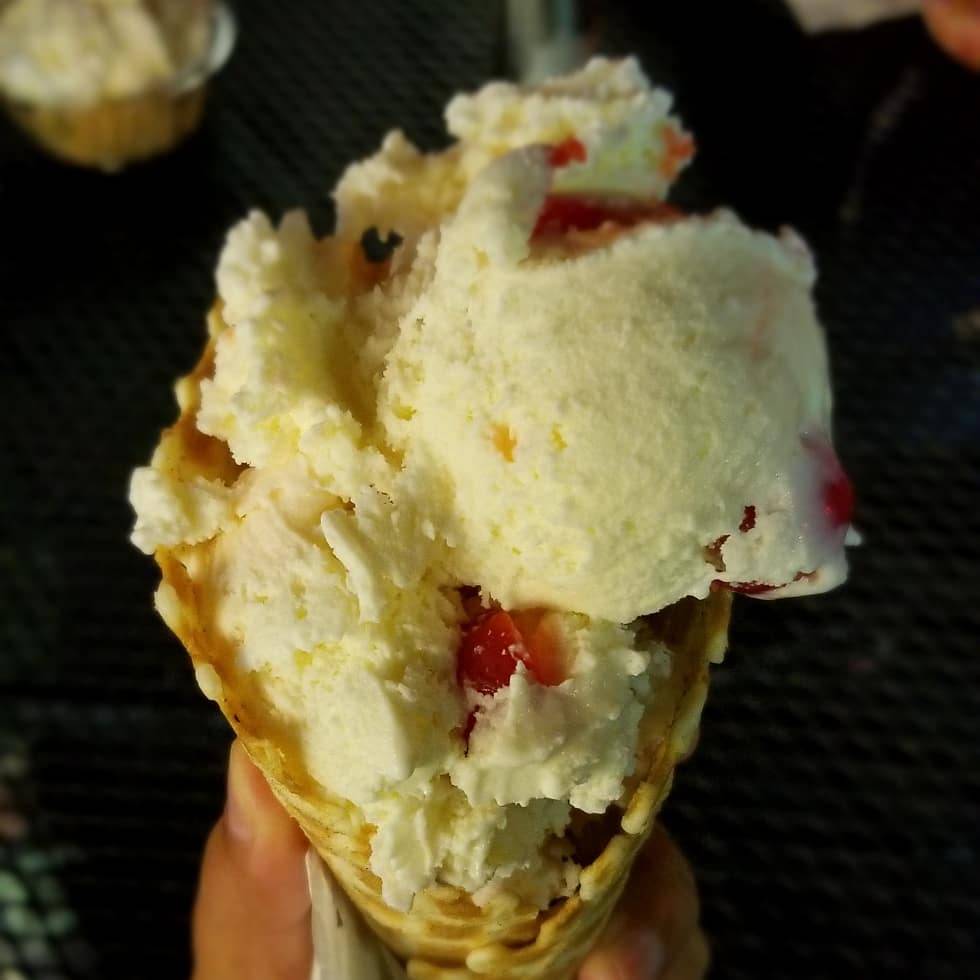 Brusters Real Ice Cream of Erie | restaurant | 3100 W 12th St, Erie, PA 16505, USA | 8148361170 OR +1 814-836-1170