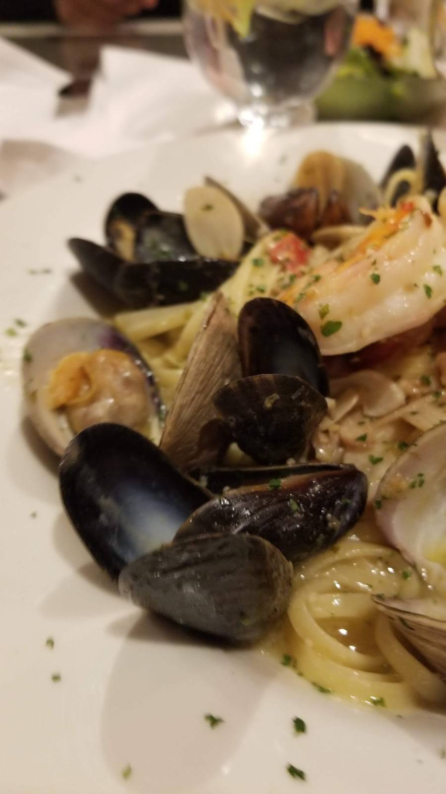 Mario the Baker | restaurant | 4414 Main St, Bridgeport, CT 06606, USA | 2033723335 OR +1 203-372-3335