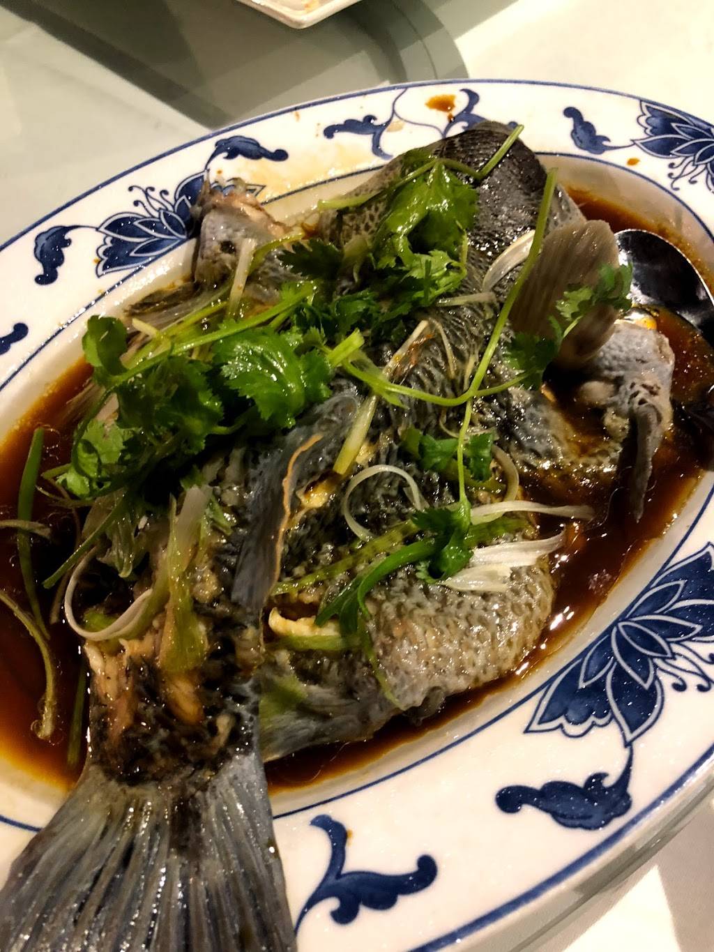 Islander Seafood | restaurant | 79-21 Queens Blvd, Elmhurst, NY 11373, USA | 9177450358 OR +1 917-745-0358