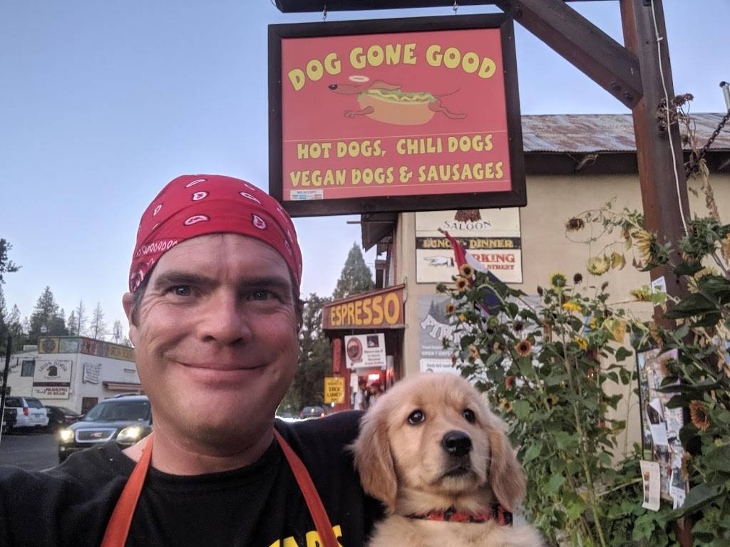Dog Gone Good | restaurant | 18743 Main St, Groveland, CA 95321, USA | 2097705624 OR +1 209-770-5624