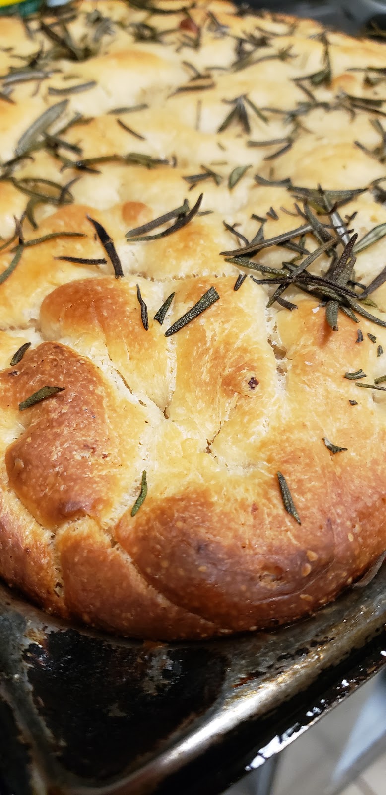 Bottega | restaurant | 1900 Harrison St, Hollywood, FL 33020, USA | 9545442454 OR +1 954-544-2454