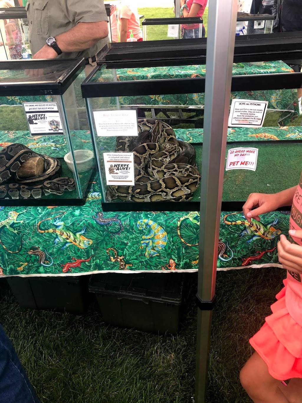 Trout Air Tavern | restaurant | 15201 Running Aces Blvd, Columbus, MN 55025, USA | 6519254577 OR +1 651-925-4577