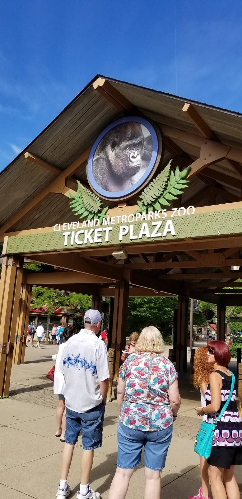 Wendys | restaurant | 1701 7th Ave, Beaver Falls, PA 15010, USA | 7248472210 OR +1 724-847-2210