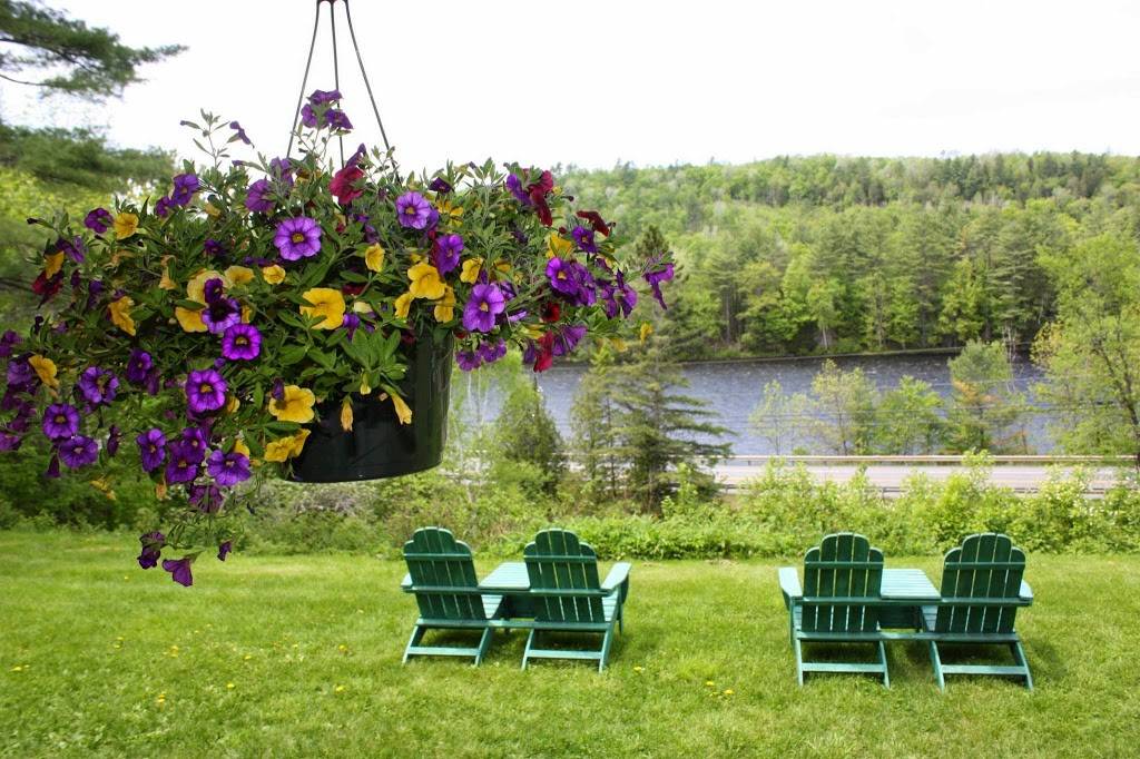 Inn By the River | restaurant | 2777 US-201, West Forks, ME 04985, USA | 2076632181 OR +1 207-663-2181