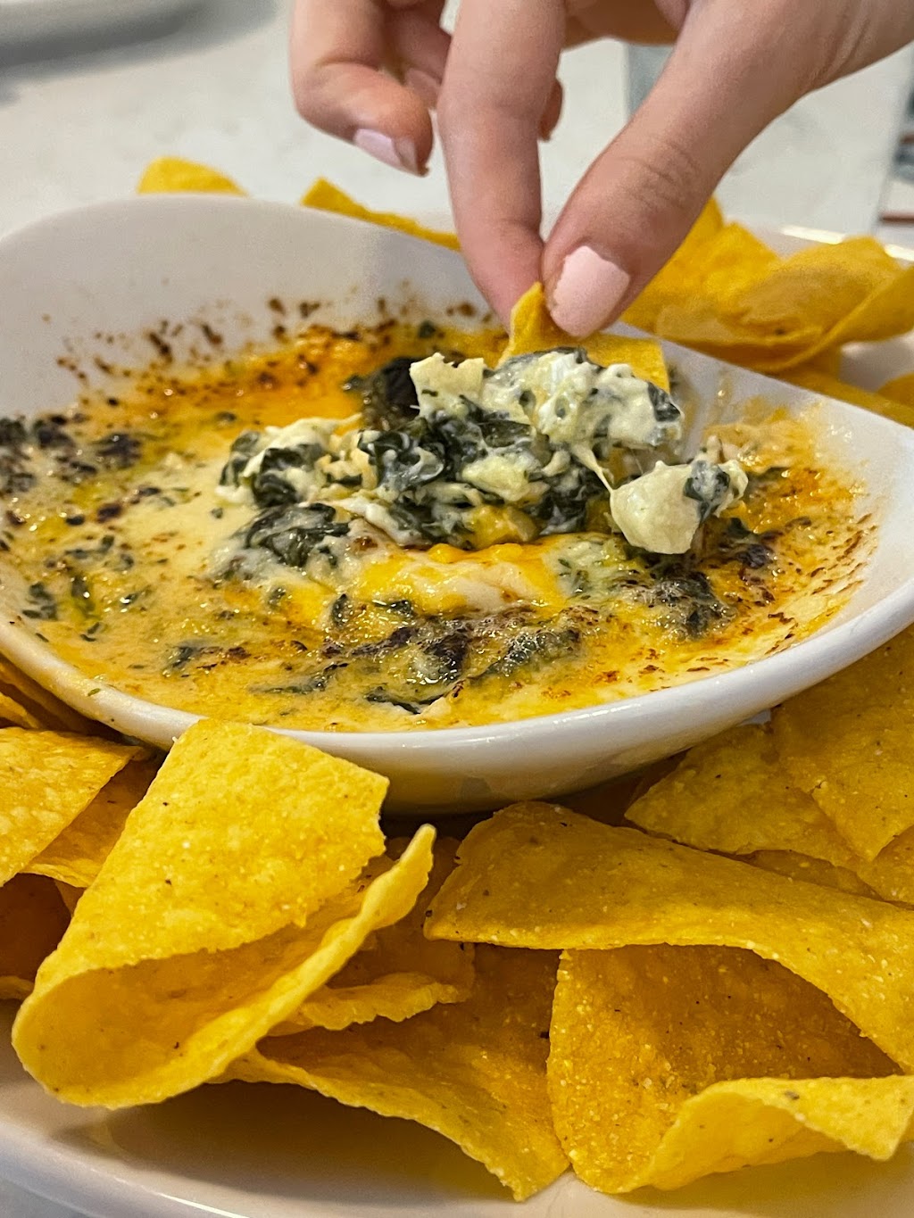 Angelina European Cafe | restaurant | 220 Huffman Mill Rd, Burlington, NC 27215, USA | 3366397202 OR +1 336-639-7202