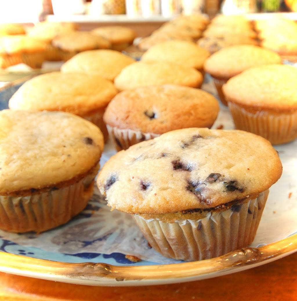 Castine Variety | restaurant | Main St, Castine, ME 04421, USA | 2073269920 OR +1 207-326-9920