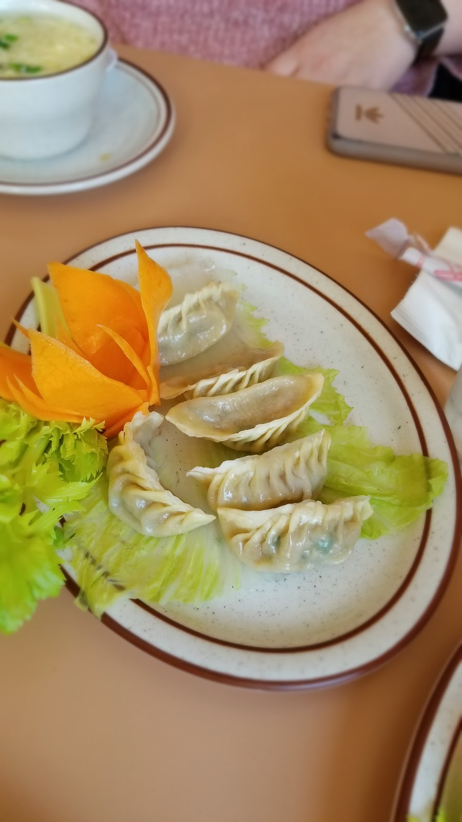 Bamboo Garden Restaurant | restaurant | 3203 N Clark St, Chicago, IL 60657, USA | 7732819000 OR +1 773-281-9000